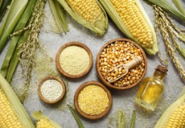 野油菜黃單孢菌發(fā)酵產生的復合多糖體——黃原膠（上）