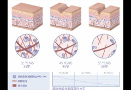 水潤皮膚的秘密武器，乙酰殼糖胺和透明質(zhì)酸的甜蜜聯(lián)盟！